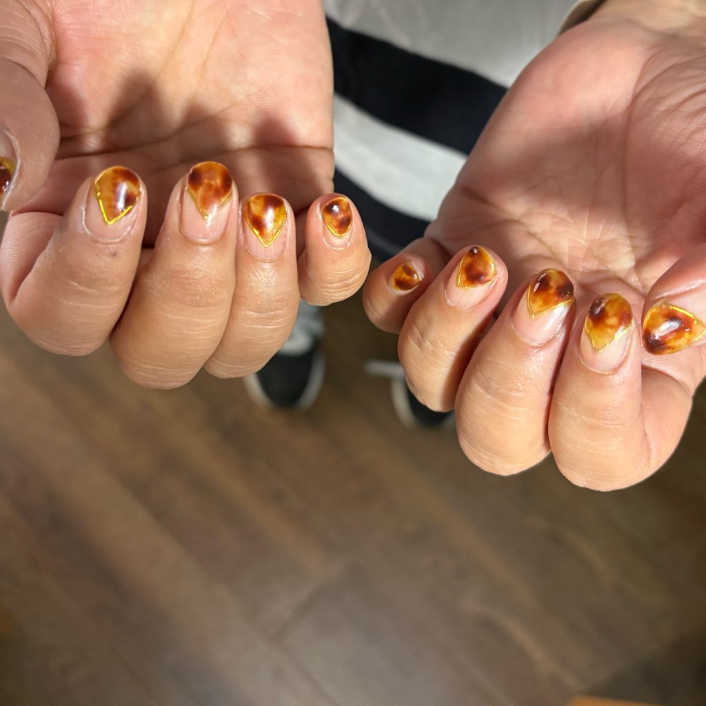 べっ甲と境界線